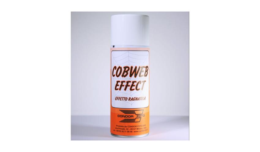 COBWEB EFFECT 300 ml art. 01605