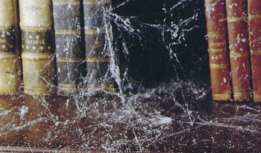 COBWEB EFFECT 300 ml art. 01605