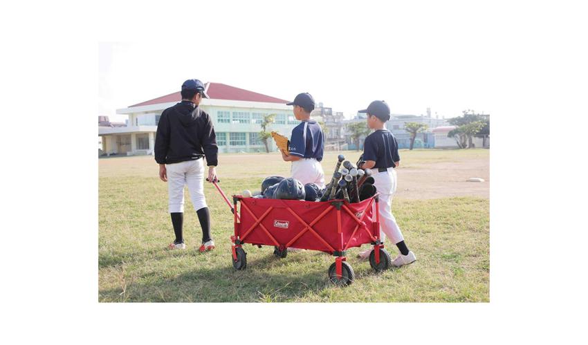 Coleman Bollerwagen (Transport Cart)